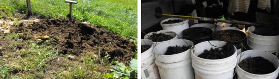 5 gallon bucket manure montage