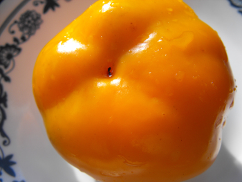 Tangerine pimento pepper