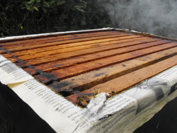 Bees ate away all of the newspaper between the two supers.