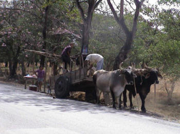 Farmers in Central America