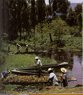 Harvesting muck out of drainage canals