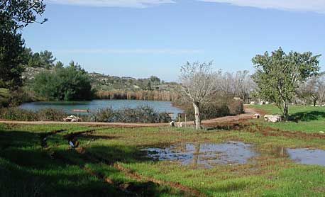 Israeli silting basin