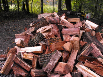 big pile of fire wood