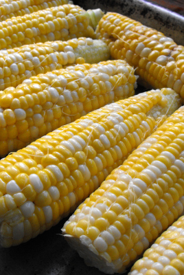 Sweet corn