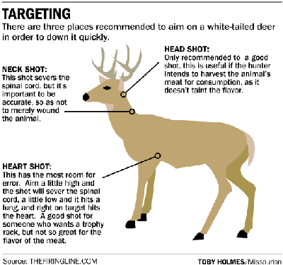 Where to shoot a deer