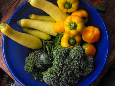 Summer squash, green beans, sweet peppers, and broccoli