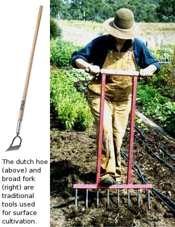 The Dutch hoe and broad fork are traditional tools used in surface cultivation.