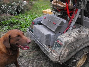 Lucy near the golf cart with bricks