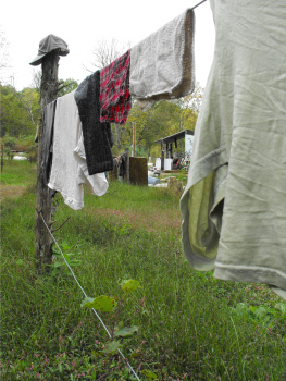 Drying clothes on the grape trellis