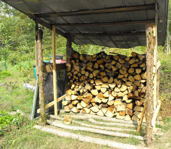 Filling up the woodshed