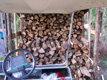 Filling the firewood shed.
