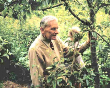 Robert Hart in his forest garden