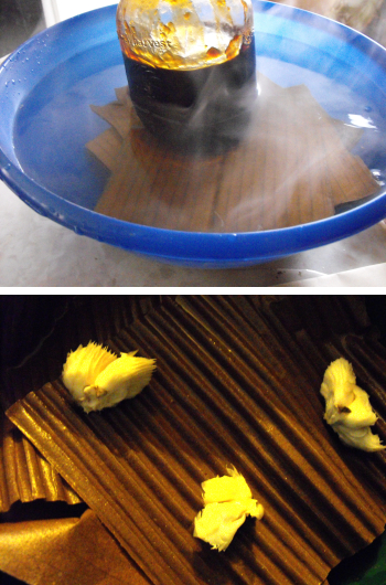 Propagating an oyster mushroom from stem butts.