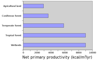 Net primary productivity of wetlands, tropical forest, temperate forest, coniferous forest, and agricultural land.
