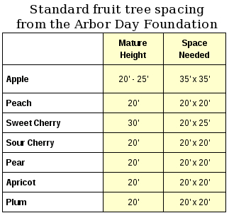 Fruit tree spacing