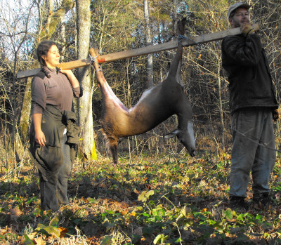 Carrying the deer home.