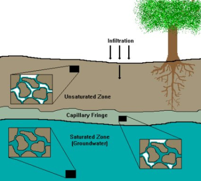 The capillary fringe is the area where water creeps upwards from the groundwater.