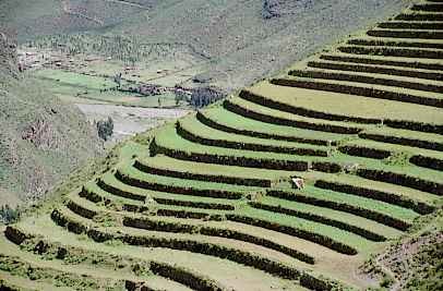 Tablones are Guatemalan terraces.