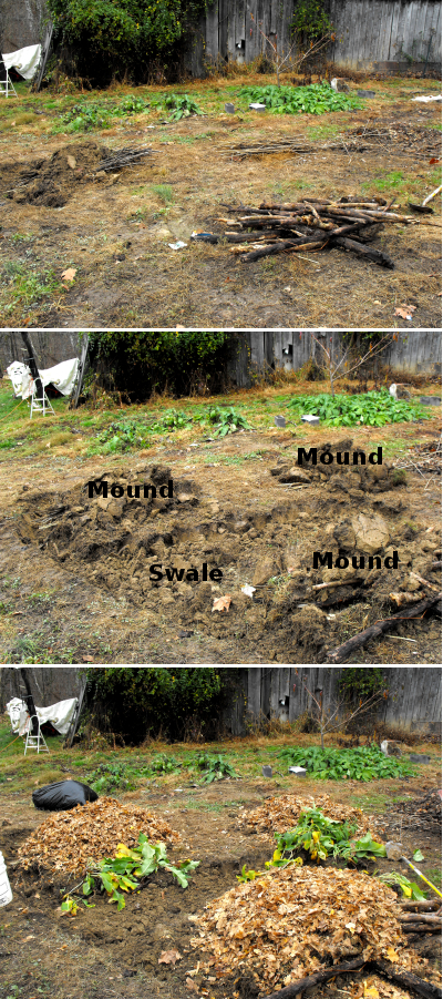 Building swales and planting mounds