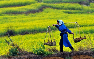 Chinese carrying poles