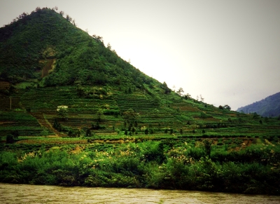 Chinese farmland