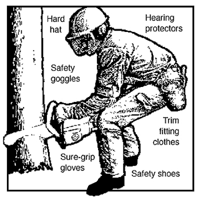 cutting down a tree diagram