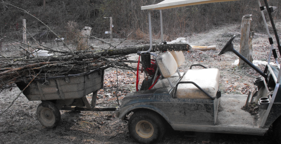 Hauling kindling with the golf cart