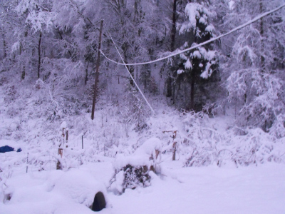 The farm in the snow