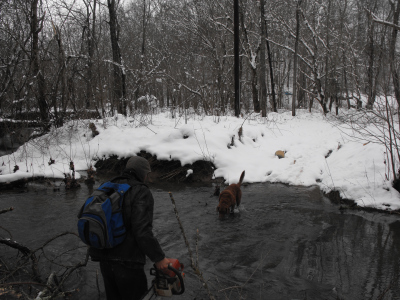 Crossing the creek with the chainsaw