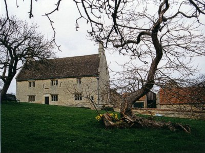 Newton's apple tree