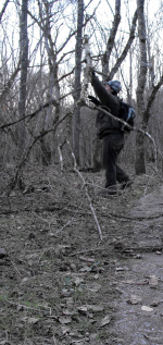 Anna moving branches out of the driveway