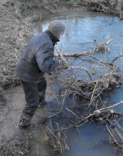 Mark moving branches out of the creek