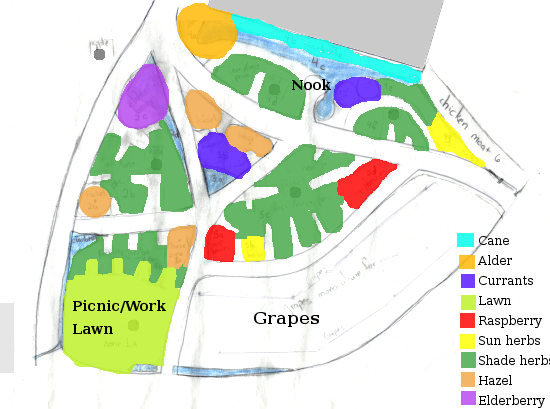 Old forest garden plan