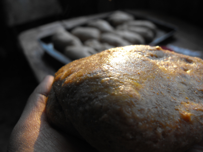 Fluffy whole wheat bread