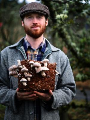 Growing mushrooms on wood chips