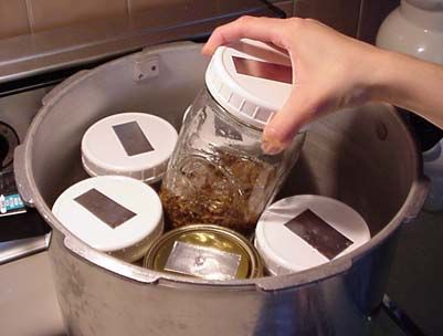 Sterilize grain spawn for mushrooms in a pressure cooker