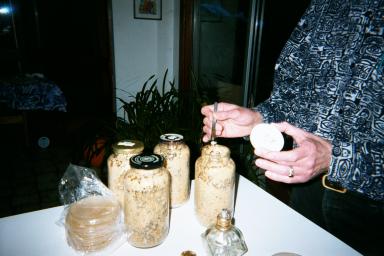 Innoculating a jar of grain spawn