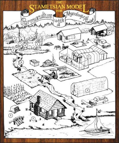 Diagram of mushroom uses in permaculture