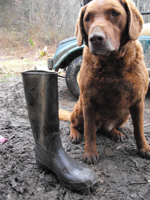 Lucy beside Mark's boot