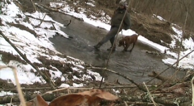 Walking across the creek on stepping stones