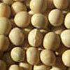 Soybeans