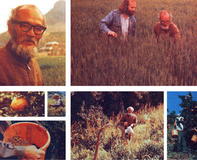 Fukuoka's do-nothing farming, collage