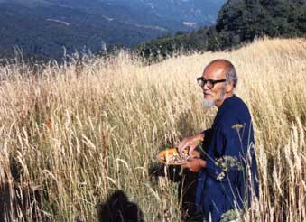 Masanobu Fukuoka