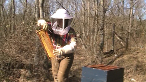 Winter hive check.