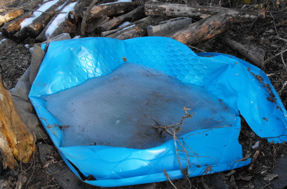 mushroom soaking pool