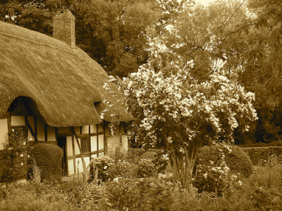 Traditional cottage garden