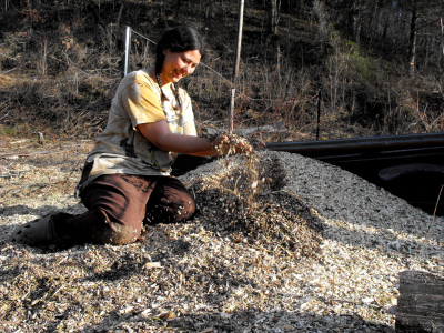 Sitting in a pile of wood chips