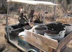 old first version of diy golf cart pick up bed