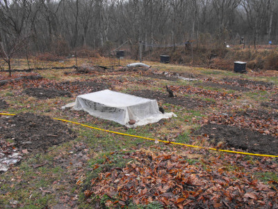 Newly planted garden beds