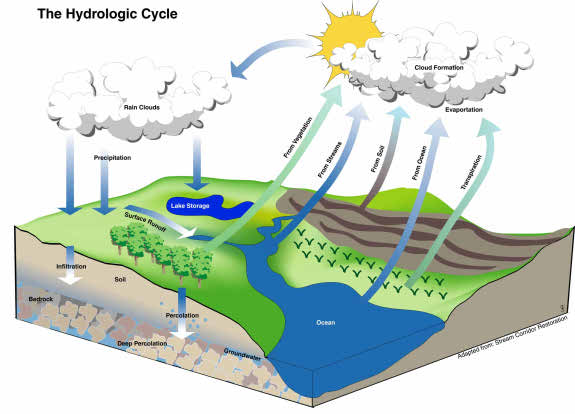 Hydrologic cycle